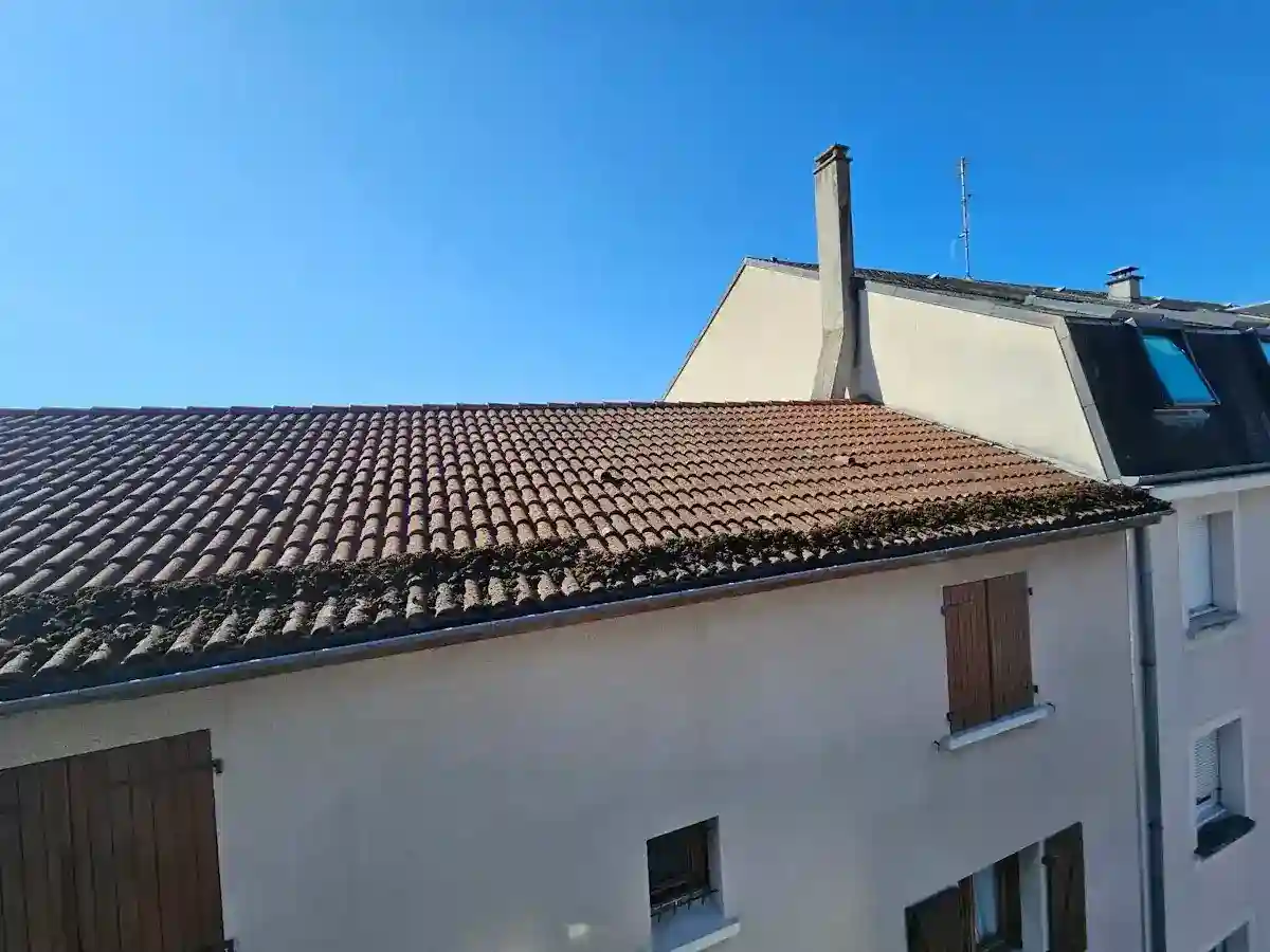 Nettoyage toiture